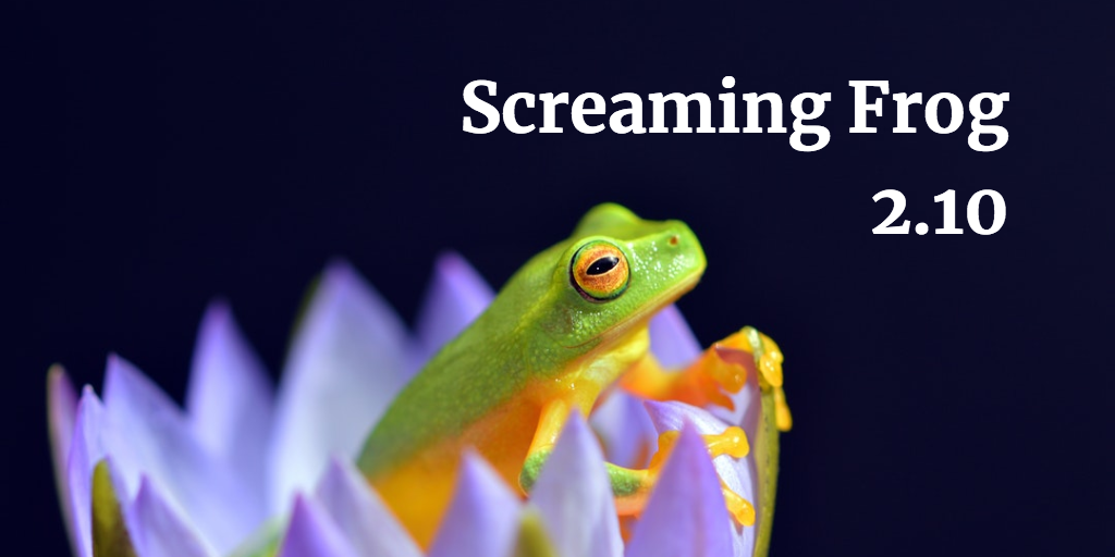 Screaming Frog - Definition